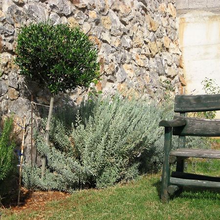 Yiorgos Studios Παλαιοχώρα Εξωτερικό φωτογραφία